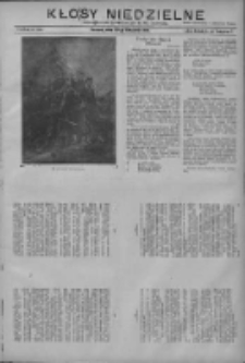 Kłosy Niedzielne: dodatek literacki i powieściowy do Nr266 "Orędownika" 1910.11.20