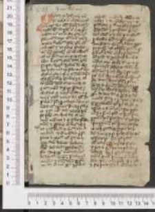 Psalterium Davidis cum expositionibus