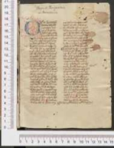 Physica Peripatetica et Animastica (tyt. utw. XVI w.)