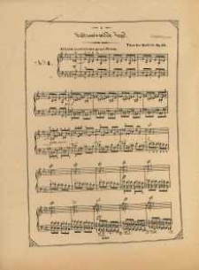 Op. 111, Neue Folge, No. 4, Lützow's wilde Jagd