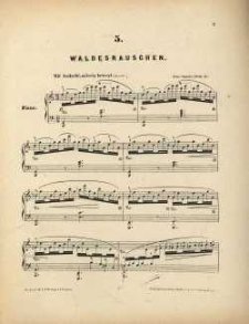 Op. 75, No. 5, Waldesrauschen