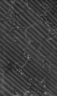 Henri de Valois et la Pologne en 1572. T.2