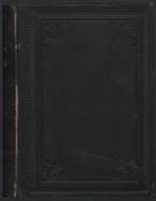 Męczennicy: obrazy życia wsp&oacute;łczesnego. Cz. 1, Na wysokościach. T. 2