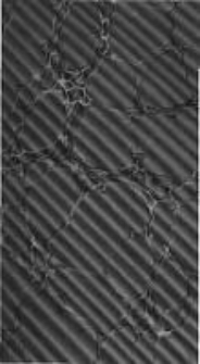 Henri de Valois et la Pologne en 1572. T.1