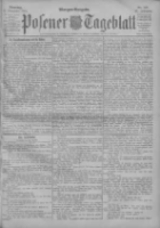 Posener Tageblatt 1902.11.11 Jg.41 Nr528