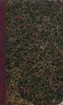 Ostatnia z xiążąt słuckich: kronika z czas&oacute;w Zygmunta Trzeciego. T. 3; [wyd. Adama Zawadzkiego]