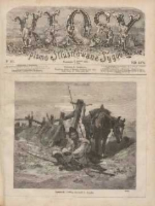Kłosy: czasopismo ilustrowane, tygodniowe, poświęcone literaturze, nauce i sztuce 1878.04.27(05.09) T.26 Nr671