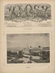 Kłosy: czasopismo ilustrowane, tygodniowe, poświęcone literaturze, nauce i sztuce 1887.03.26(04.07) T.44 Nr1136