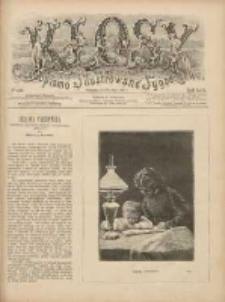 Kłosy: czasopismo ilustrowane, tygodniowe, poświęcone literaturze, nauce i sztuce 1888.05.19(31) T.46 Nr1196