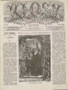 Kłosy: czasopismo ilustrowane, tygodniowe, poświęcone literaturze, nauce i sztuce 1878.12.28(1879.01.09) T.28 Nr706