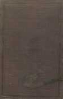 Bajbuza: (czasy Zygmunta III). T.1