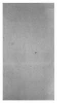 Repertorium &uuml;ber Pastorallehre und Casuistik in alphabetischer Ordnung f&uuml;r protestantische Geistliche. Bd.1 Abt.1