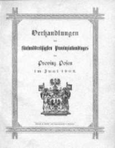 Verhandlungen des fünfunddressigsten Provinziallandtages der Provinz Posen im Juni 1902