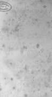 M&eacute;moires de Jacques II. T.4