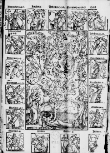 Privilegia ordinis cartusiensis: et multiplex confirmatio eiusdem