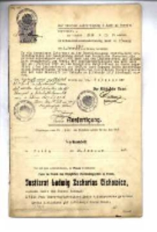 Dokumenty dotyczące utworzenia w dniu 26.1.1917r. towarzystwa &ldquo;Mielżyński, Kurnatowski et Co.&rdquo; celem popierania nauki i sztuki, w szczeg&oacute;lności zbior&oacute;w Poznańskiego Towarzystwa Przyjaci&oacute;ł Nauk, wyodrębnionych pod nazwą &ldquo;Muzeum im. Mielżyńskich&rdquo;: odpisy notarialne z dn. 13.2.1917r. sporządzone przez Ludwika Zachariasza Cichowicza dla PTPN