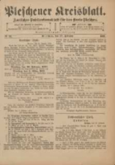 Pleschener Kreisblatt: Amtliches Publicationsblatt f&uuml;r den Kreis Pleschen 1901.02.13 Jg.49 Nr13