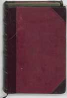 Król i Bondarywna: powieść ; Dziś i lat temu trzysta: studyum obyczajowe