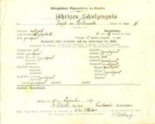 Świadectwo J&oacute;zefa Kostrzewskiego z klasy IV gimnazjum w Gnieźnie