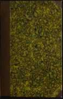 Krak&oacute;w za Łoktka: powieść historyczna. T. 1