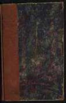 Syn Jazdona: powieść historyczna z czas&oacute;w Bolesława Wstydliwego i Leszka Czarnego. T.2