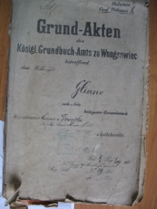 Zespół: Sąd w Wągrowcu (951), sygn. 1516. Akta gruntowe Królewskiego Urzędu Sądowego w Wągrowcu dotyczące dóbr rycerskich Glinno. Właściciel: Kazimierz Drwęski