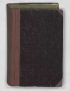 Za Sas&oacute;w: (czasy Augusta II i Augusta III). T.2