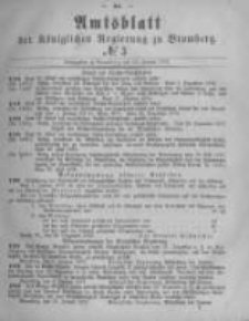 Amtsblatt der K&ouml;niglichen Preussischen Regierung zu Bromberg. 1877.01.19 No.3