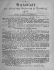 Amtsblatt der Königlichen Preussischen Regierung zu Bromberg. 1877.02.09 No.6
