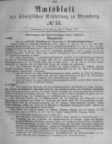 Amtsblatt der Königlichen Preussischen Regierung zu Bromberg. 1877.08.17 No.33
