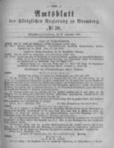 Amtsblatt der Königlichen Preussischen Regierung zu Bromberg. 1878.09.20 No.38