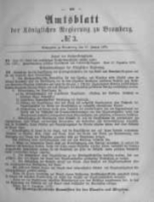 Amtsblatt der Königlichen Preussischen Regierung zu Bromberg. 1879.01.17 No.3