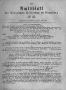 Amtsblatt der K&ouml;niglichen Preussischen Regierung zu Bromberg. 1879.06.20 No.25