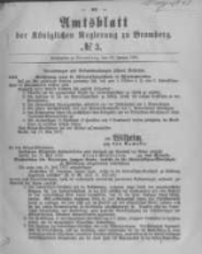 Amtsblatt der K&ouml;niglichen Preussischen Regierung zu Bromberg. 1880.01.16 No.3
