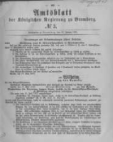 Amtsblatt der Königlichen Preussischen Regierung zu Bromberg. 1880.01.16 No.3