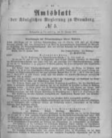 Amtsblatt der Königlichen Preussischen Regierung zu Bromberg. 1880.01.30 No.5