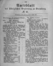 Amtsblatt der Königlichen Preussischen Regierung zu Bromberg. 1880.05.21 No.21