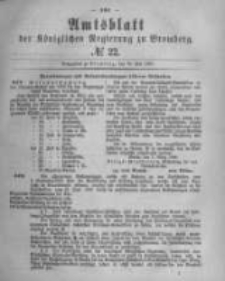 Amtsblatt der Königlichen Preussischen Regierung zu Bromberg. 1880.05.28 No.22