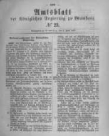 Amtsblatt der K&ouml;niglichen Preussischen Regierung zu Bromberg. 1880.06.04 No.23