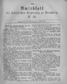 Amtsblatt der Königlichen Preussischen Regierung zu Bromberg. 1881.04.01 No.13
