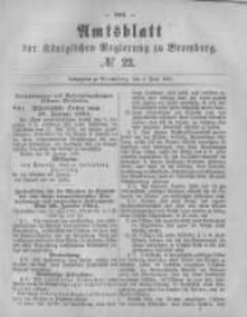 Amtsblatt der K&ouml;niglichen Preussischen Regierung zu Bromberg. 1881.06.03 No.22