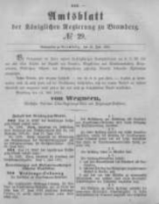 Amtsblatt der K&ouml;niglichen Preussischen Regierung zu Bromberg. 1881.07.22 No.29