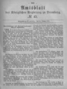 Amtsblatt der Königlichen Preussischen Regierung zu Bromberg. 1881.10.28 No.43