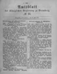 Amtsblatt der K&ouml;niglichen Preussischen Regierung zu Bromberg. 1882.06.23 No.25