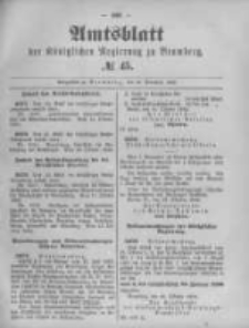 Amtsblatt der K&ouml;niglichen Preussischen Regierung zu Bromberg. 1892.11.10 No.45