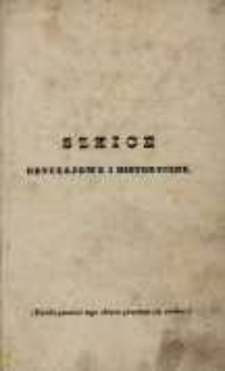 Poeta i świat: powieść we 2 tomach. T. 2