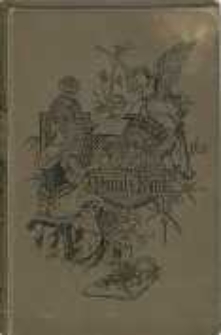 Ohne Herz: Roman von J.I. Kraszewski. Bd.1