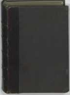 Djabeł: powieść z czas&oacute;w Stanisława Augusta: cztery tomy. T.1