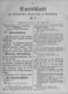 Amtsblatt der Königlichen Preussischen Regierung zu Bromberg. 1896.01.09 No.2