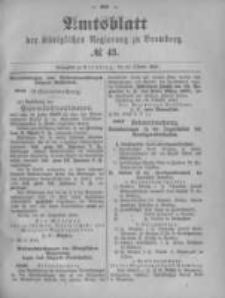 Amtsblatt der Königlichen Preussischen Regierung zu Bromberg. 1896.10.22 No.43